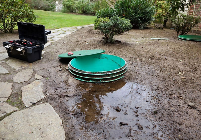 What To Do When Your Grass Is Flooding: Why Ignoring Puddles Over Your Drainfield Is Risky